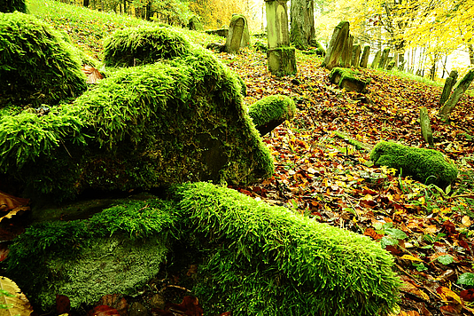 Fotokurs Jüdische Kultur in der Rhön