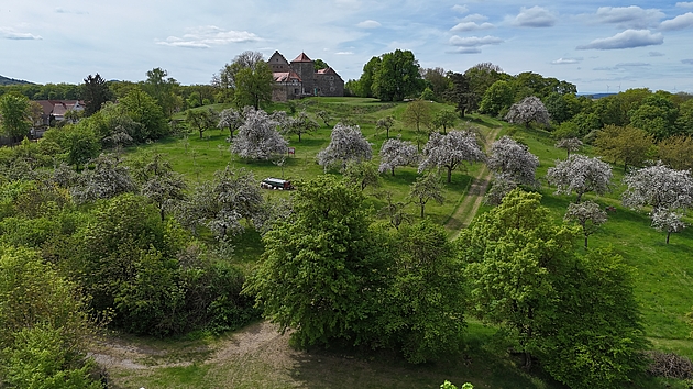 Blick von oben auf die Streuobstwiese mit Lehrpfad
