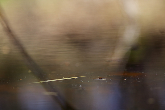 Foto-Tage Extended Masterclass