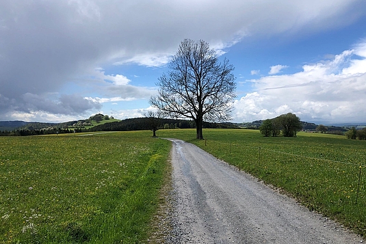 Die Vielfalt im Biosphärenreservat Rhön