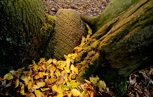 Fotokurs Jüdische Kultur in der Rhön