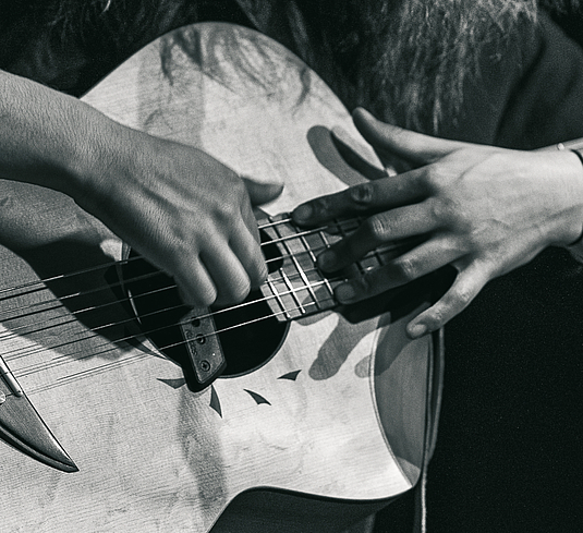Fürstenecker Gitarrentage