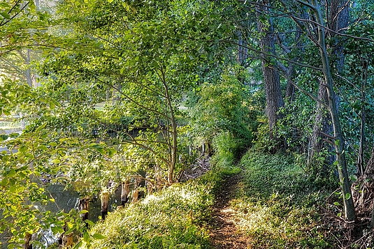 Foto-Tage Extended Masterclass