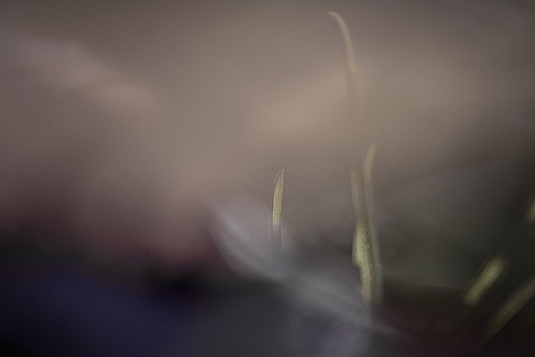 Fotokurs "Sound und Silence"