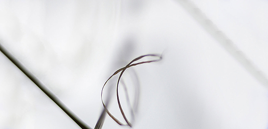 Fotokurs "Sound und Silence"