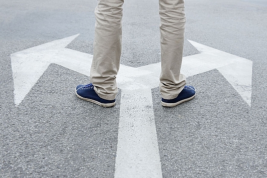 Entscheidungen in komplexen Situationen