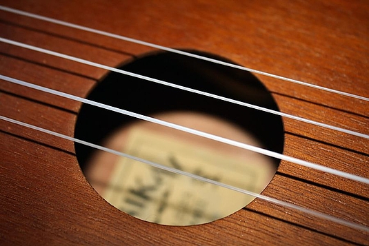 Ukulele für Anfänger*innen