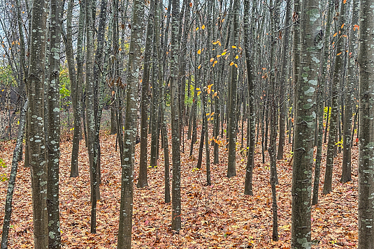 Foto-Tage Extended Masterclass